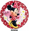 festa minnie