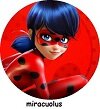 festa ladybug