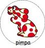 coordinato pimpa compleanno