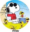 festa snoopy